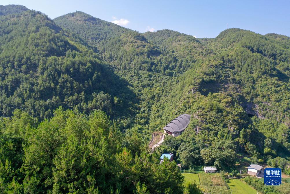 百家如何看庄闲